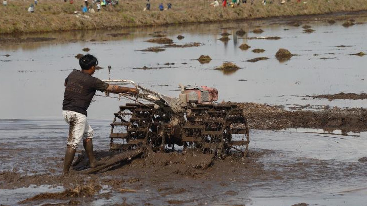 BUMN Reasuransi Turun Tangan Bantu Dukung Swasembada Pangan, Begini Langkah Dilakukan