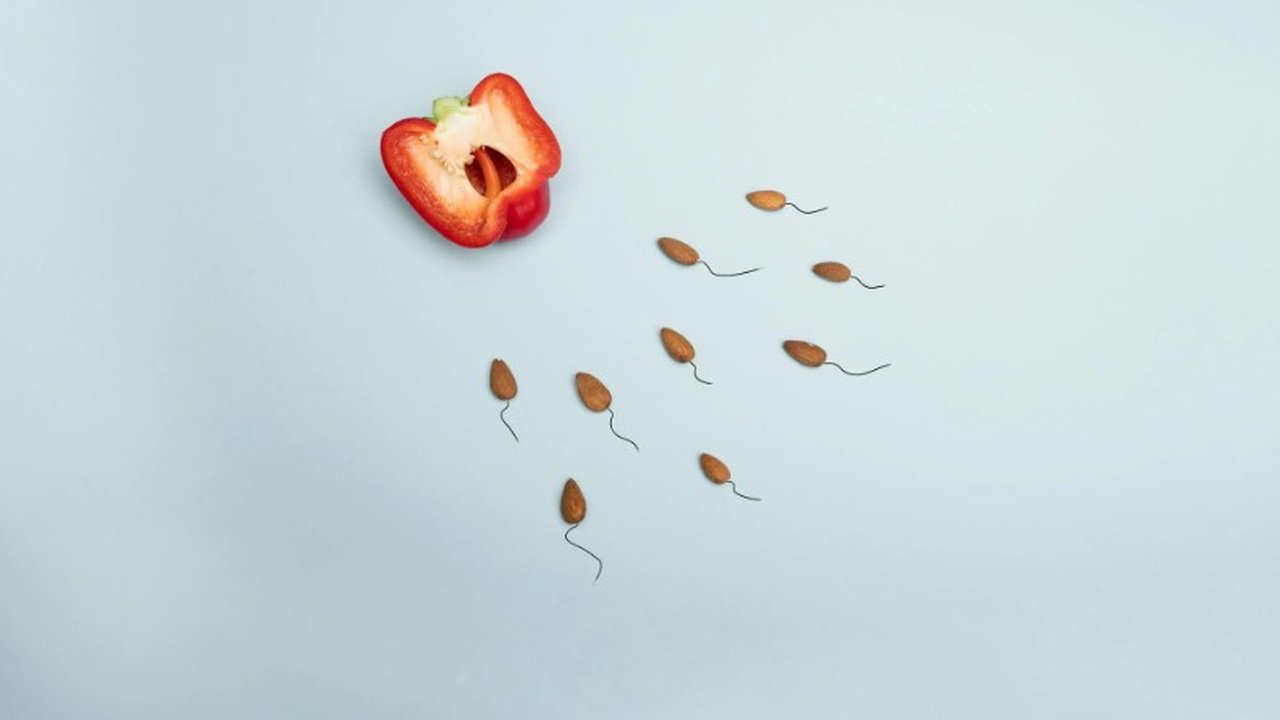 Ilustrasi Sperma