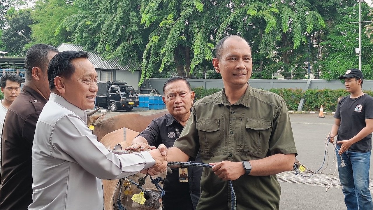 Surya Citra Media Kembali Bagikan 71 Hewan Kurban untuk Masyarakat