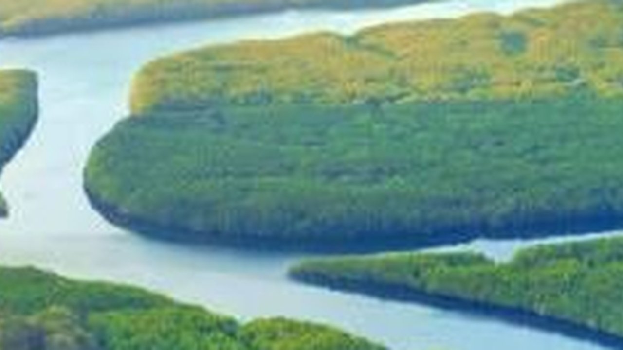 Sungai Amazon