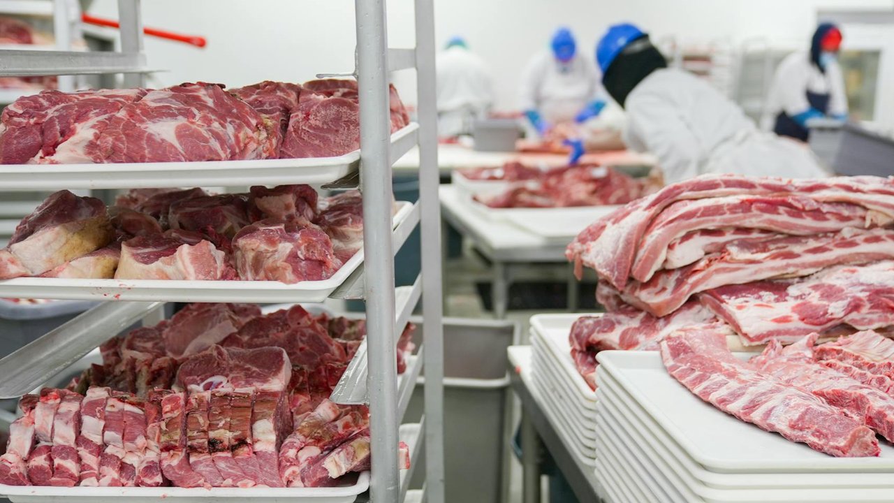 ilustrasi penyimpanan daging kurban