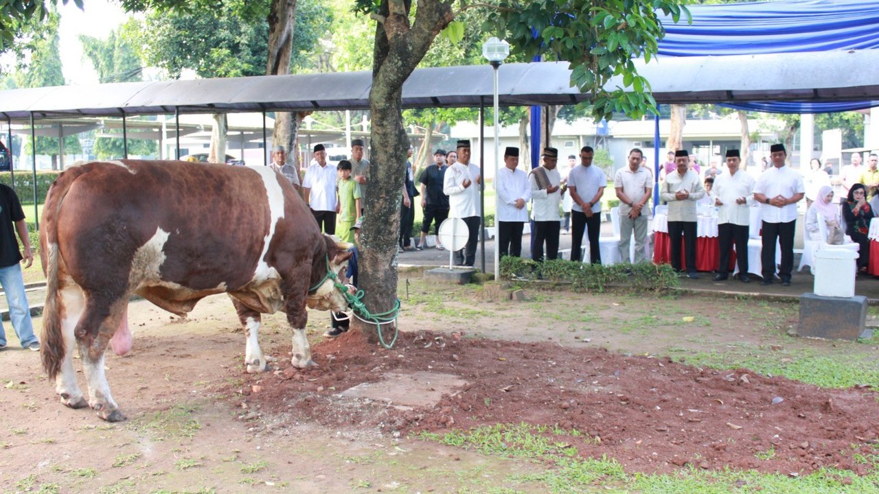 Iduladha 1446 H, Warga Makoopsudnas Sembelih 3 Sapi dan 19 Kambing untuk Kaum Dhuafa