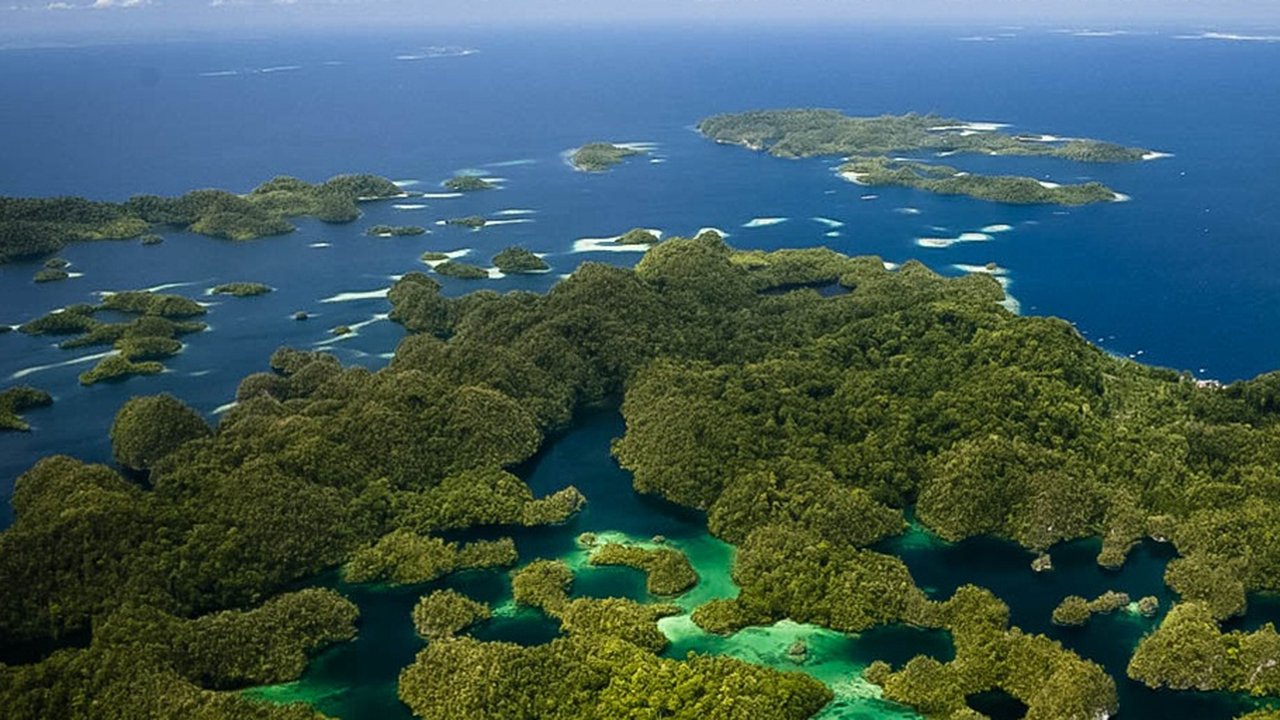 Perkiraan Biaya Dibutuhkan untuk Liburan ke Raja Ampat dari Jakarta, Siapkan Dana Segini