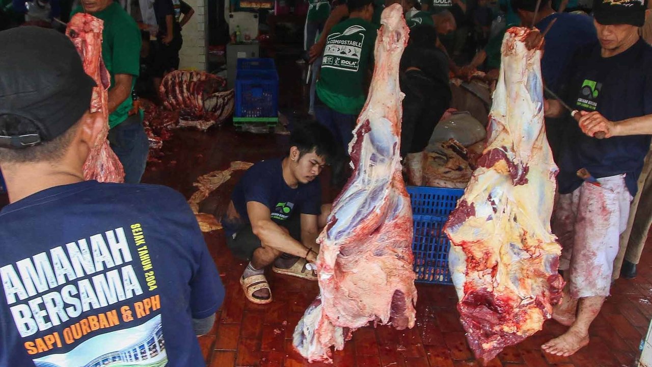 Petugas memotong daging hewan kurban di Masjid Istiqlal, Jakarta, Sabtu (070/6/2025)