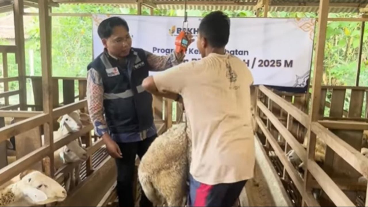 Ratusan Hewan Kurban Jangkau Pelosok Negeri