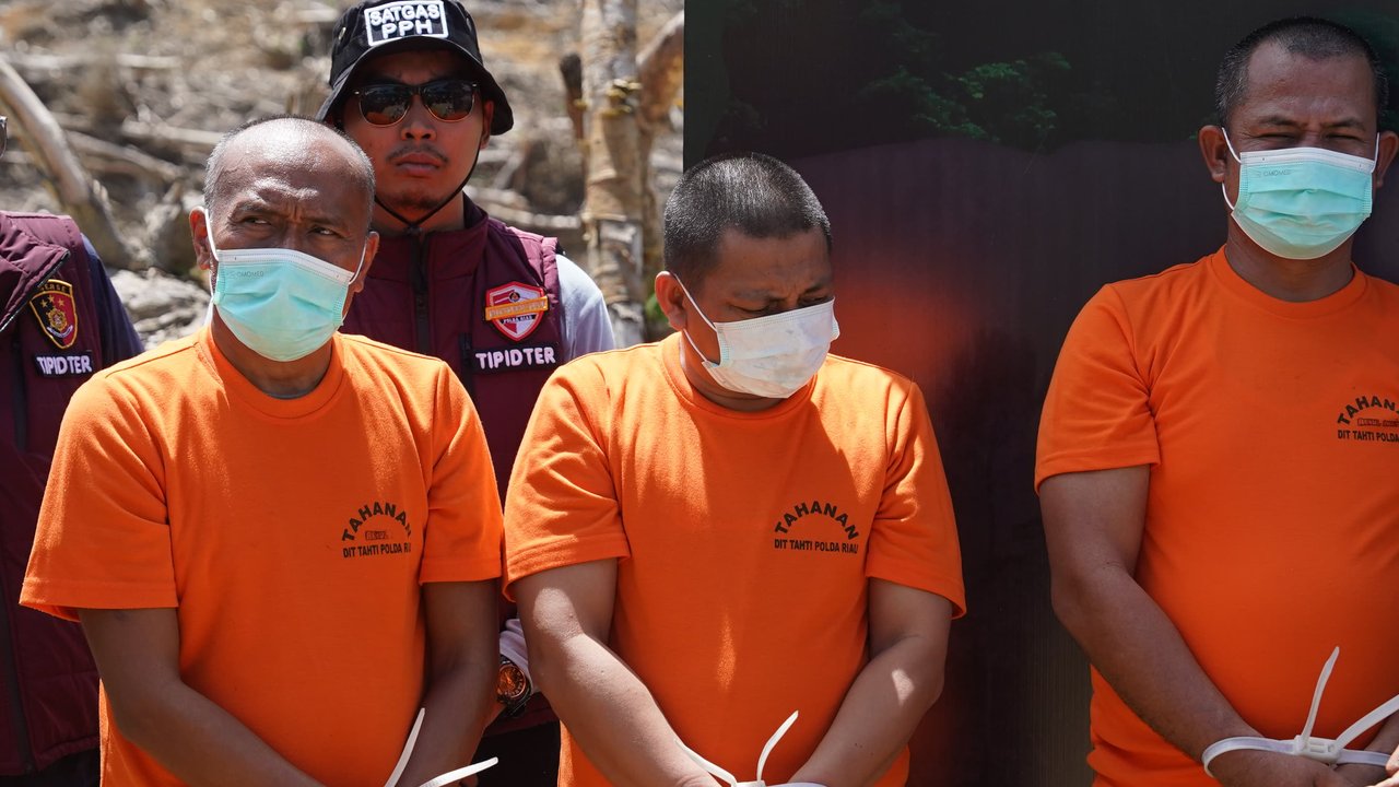 Fakta-Fakta Ketua Adat di Riau Berani Jual Hutan Lindung 60 Hektare Berujung Ditangkap Polisi