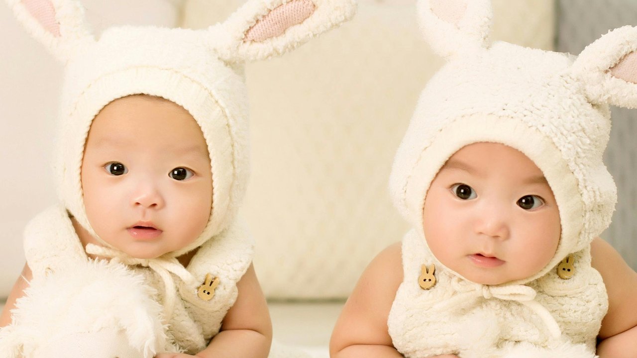 fakta anak kembar