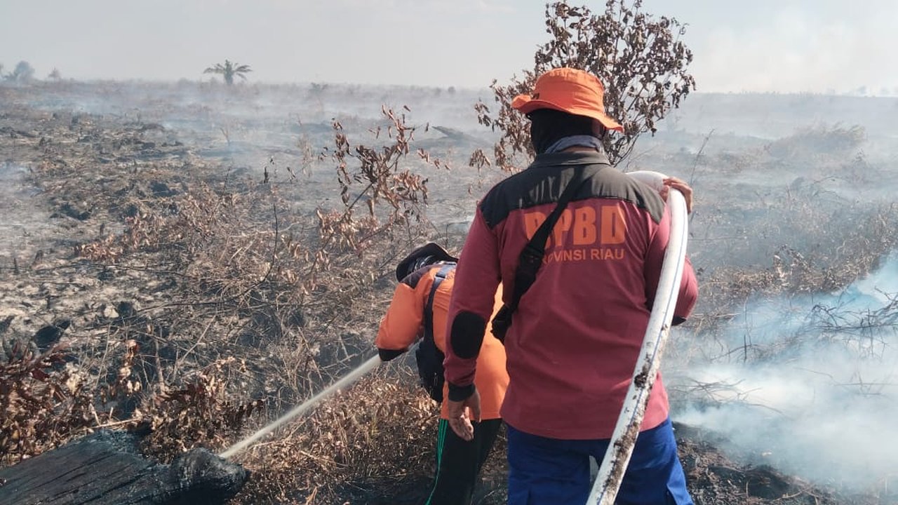 Bersihkan Semak dengan Dibakar, Wanita Tewas Terpanggang Karena Api Semakin Membesar