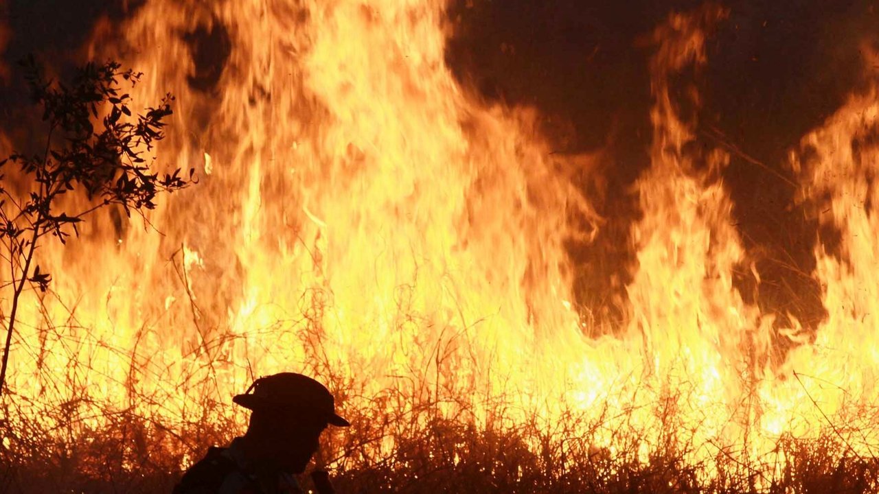 Petugas kepolisian menyemprotkan air untuk memadamkan api yang membakar lahan gambut di Ogan Ilir, Sumatera Selatan,  Minggu (20/07/2025).