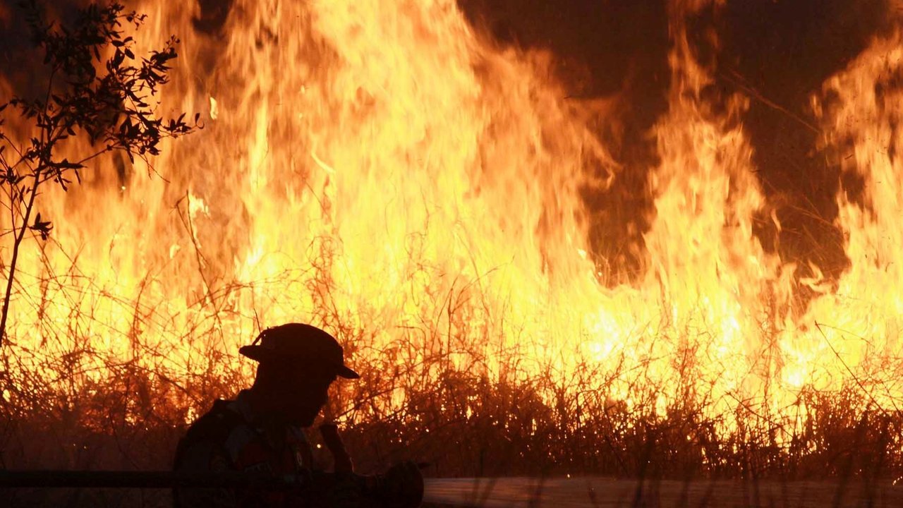 Ptugas kepolisian menyemprotkan air untuk memadamkan api yang membakar lahan gambut di Ogan Ilir, Sumatera Selatan,  Minggu (20/07/2025).
 AP/Muhammad Hatta