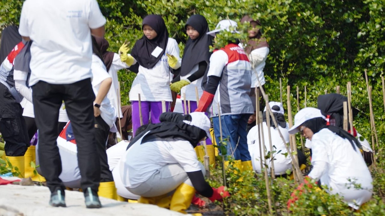 Pertamina dan Siswa SD Tanam Puluhan Ribu Mangrove di Pantai Tanjung Pasir