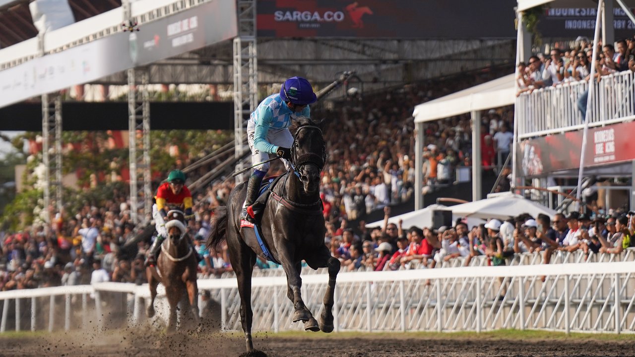 Kuda King Argentin dari Jawa Barat resmi meraih gelar Triple Crown Indonesia. (dok. Sarga.co)