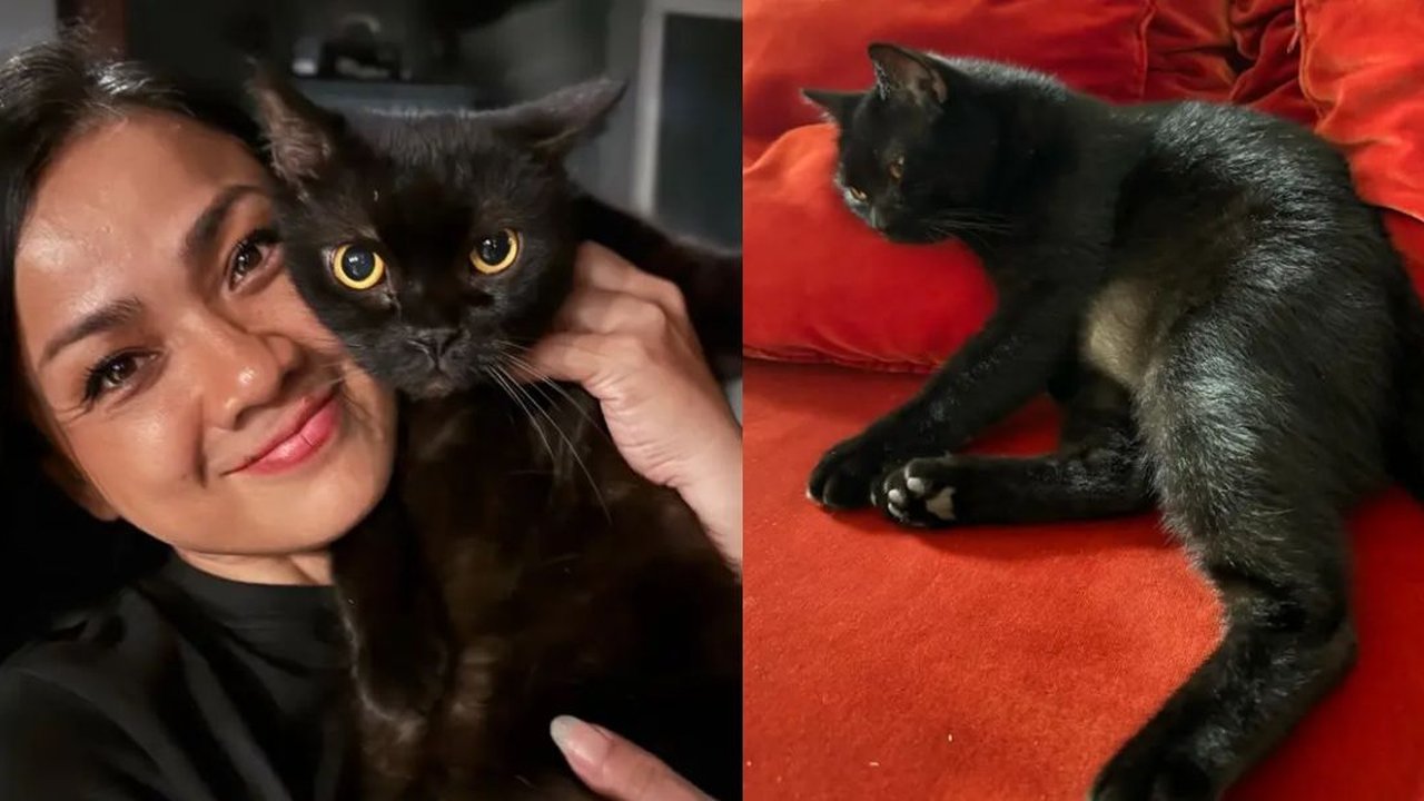 Foto-foto Kucing Nirina Zubir