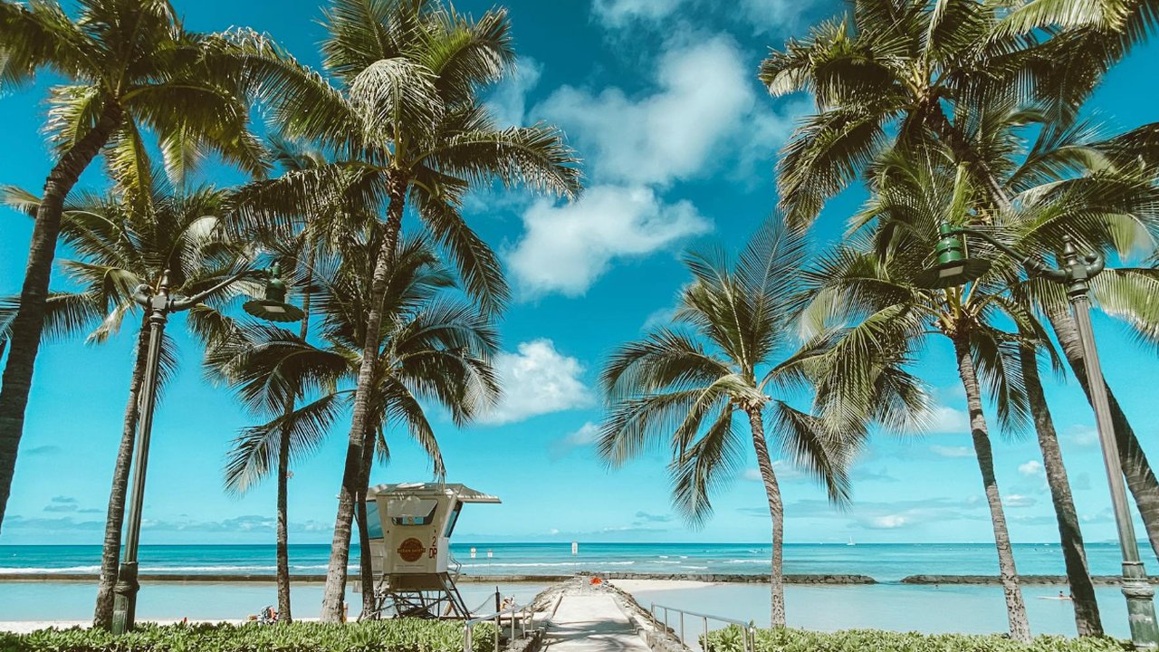 Cerita Warga Inggris Saat Liburan di Hawaii Dapat Peringatan Tsunami: “Semua Orang Berlarian”