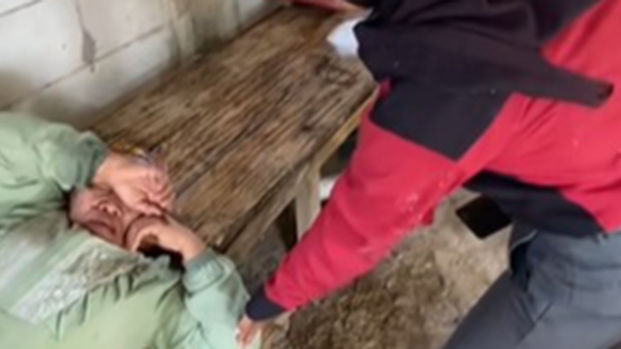 Ditagih Utang Malah Ngorok, Emak-emak Bikin Rentenir Emosi Campur Tawa Ngakak