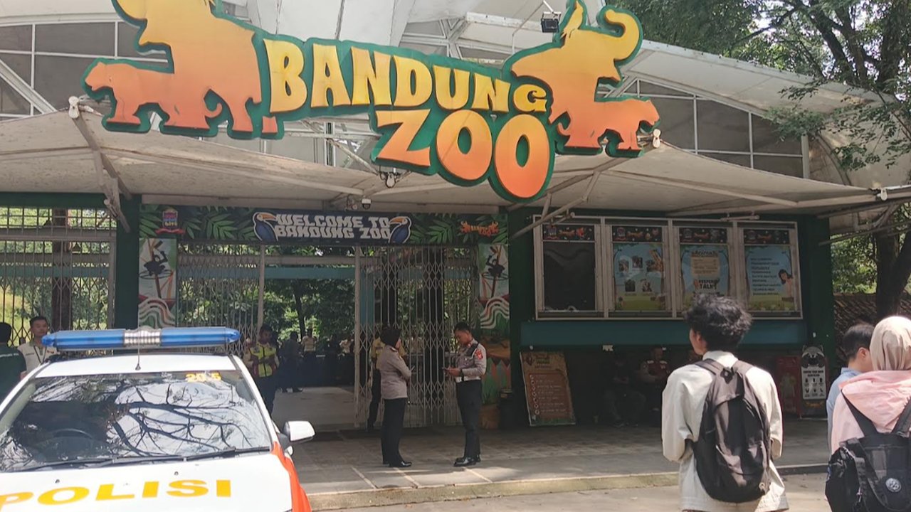 Duduk Perkara Kemelut Panjang Pengelolaan Bandung Zoo hingga Bikin Wali Kota Farhan Murka