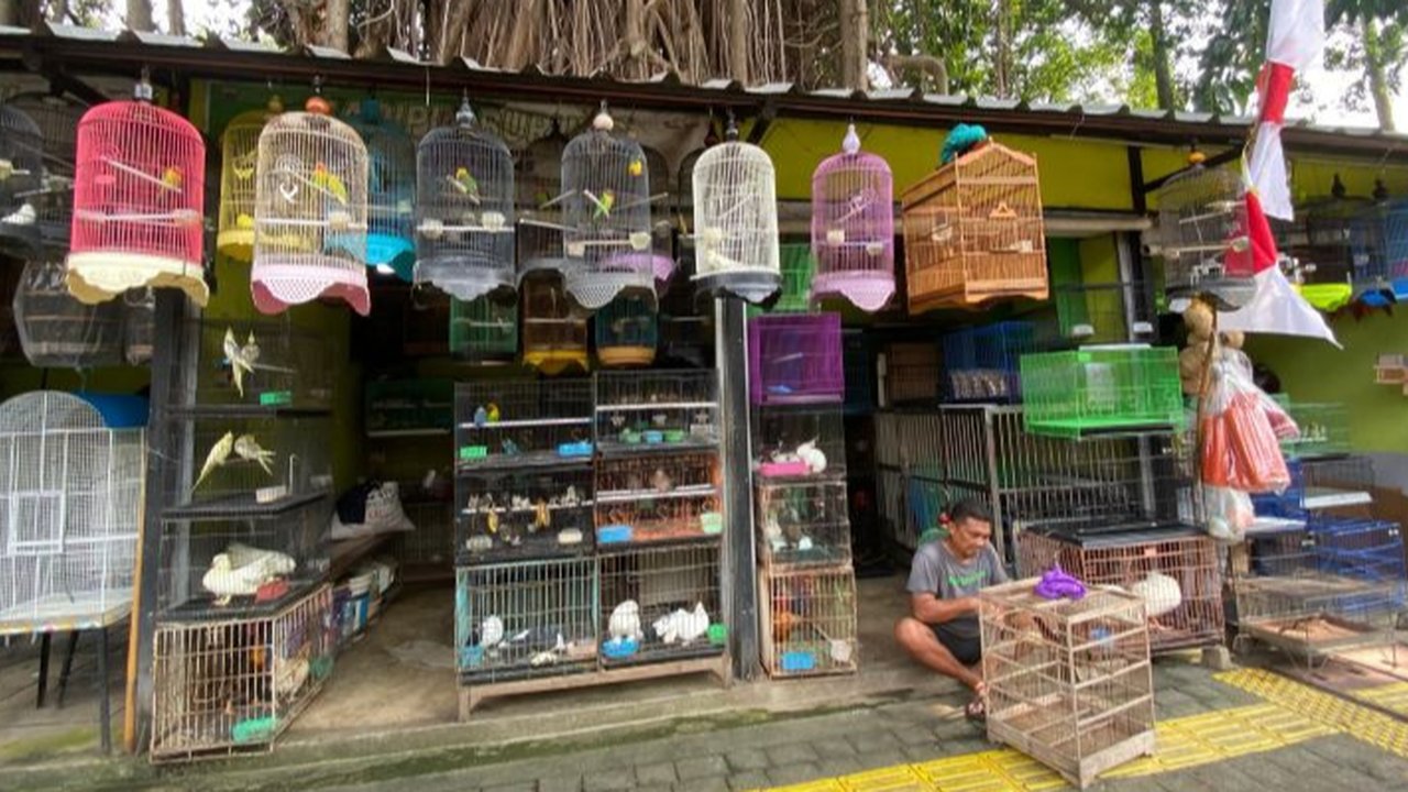 Curhat Pilu Pedagang Hewan di Pasar Barito, Punya Utang Modal Dagang Kini Terancam Direlokasi