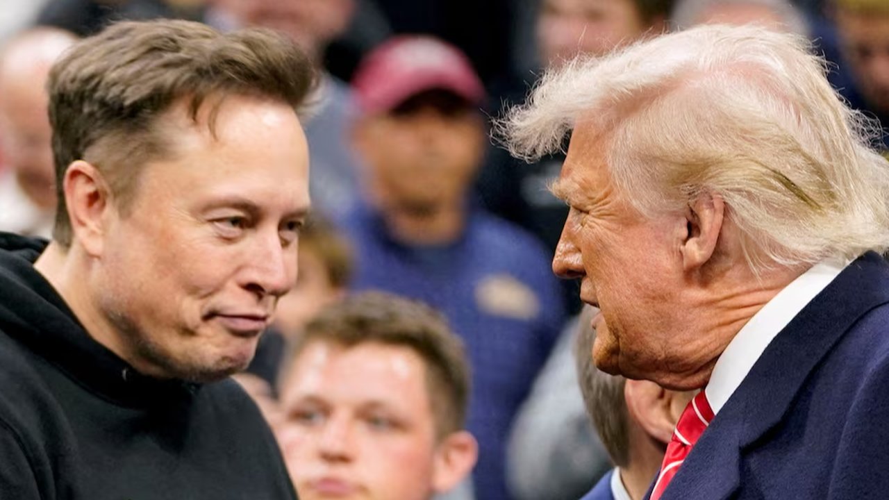 elon musk dan trump
