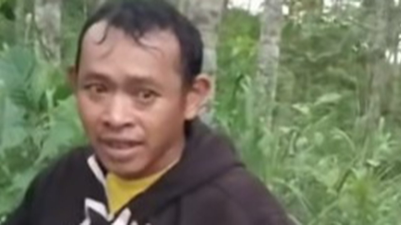 Tomat Dicuri Seorang Pemuda, Hati Tak Terluka: Kisah Pemilik Kebun yang Penuh Empati