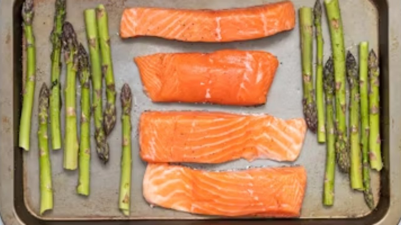 Ilustrasi Ikan Salmon