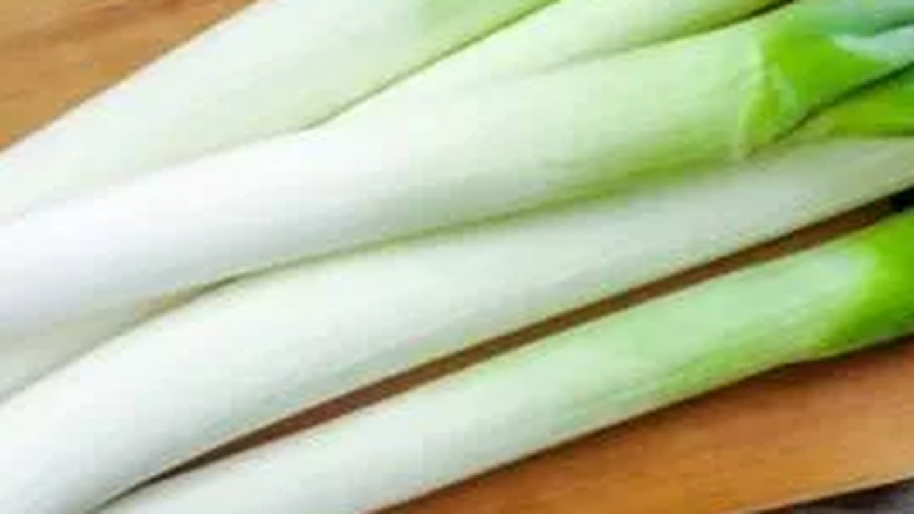 Cara Praktis Menyimpan Daun Bawang dan Seledri dengan Hasil Maksimal