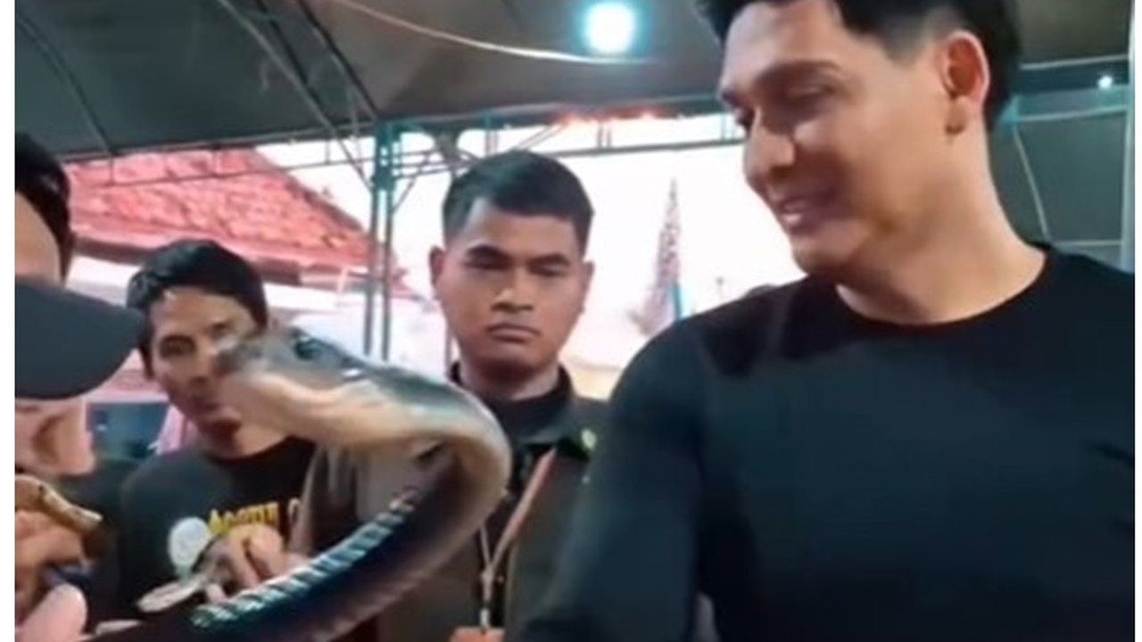 Bupati Lucky Hakim Sebar Ular ke Sawah, Solusi Efektif Atasi Hama Tikus?