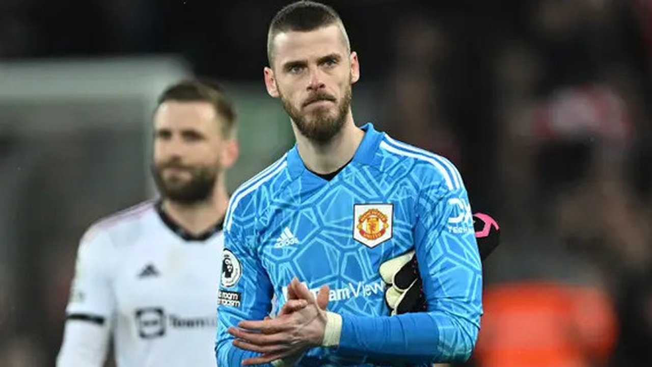 Tak hanya lebih penting dari Ronaldo, David de Gea bisa dikatakan sebagai pemain terbaik Manchester United. Ia selalu menjadi tumbal di muka gawang dari keroposnya lini belakang MU. Jika buka