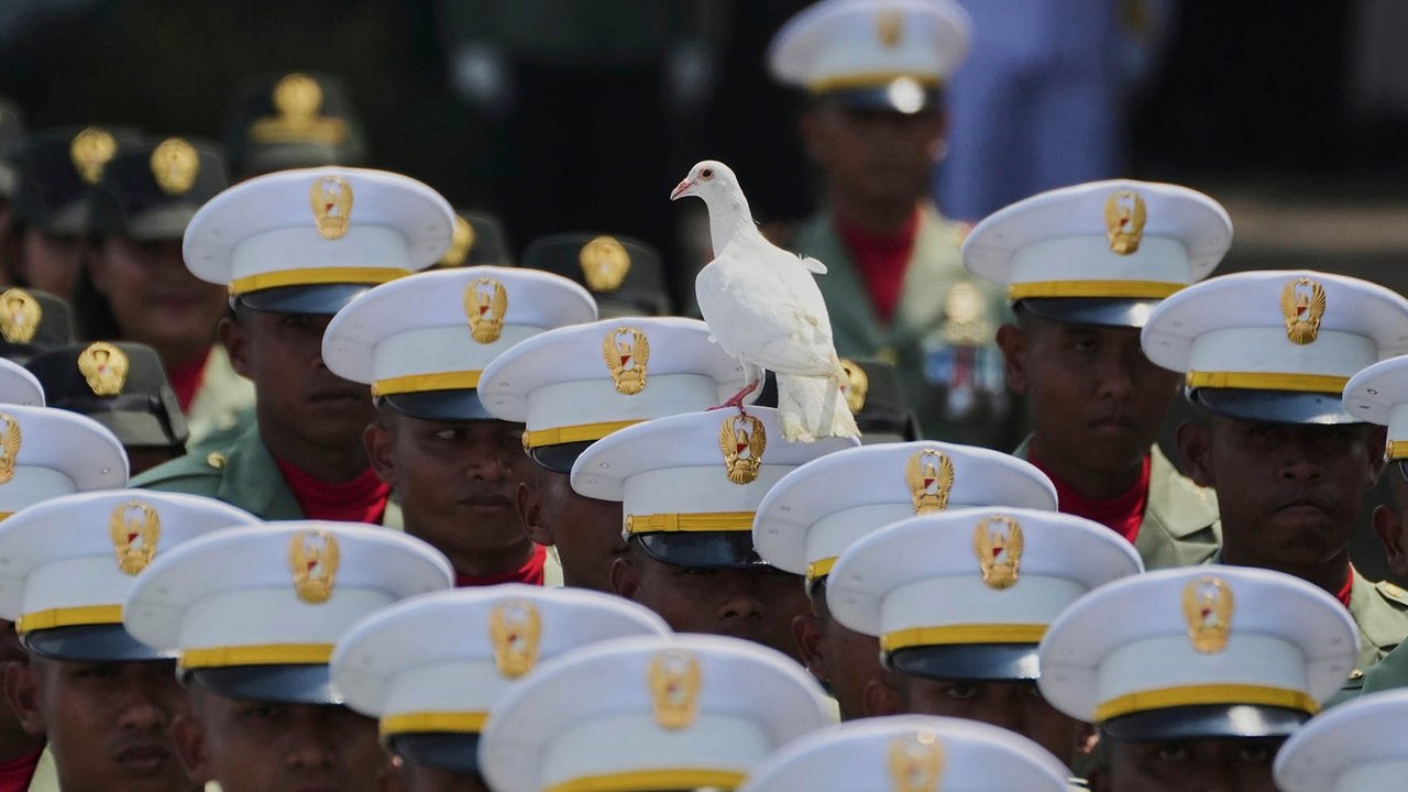 VIDEO: Tertangkap Kamera, Momen Unik Merpati Putih Hinggapi Topi Tentara saat Upacara HUT ke-80 RI
