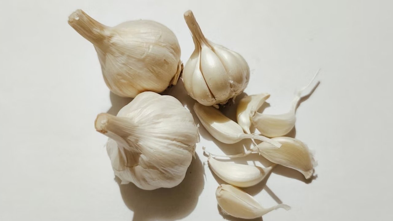 Ilustrasi Bawang Putih