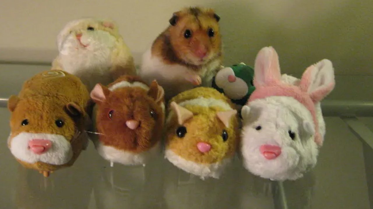 Kenali Jenis Hamster Lucu yang Bisa Dipelihara, Begini Tips Merawatnya