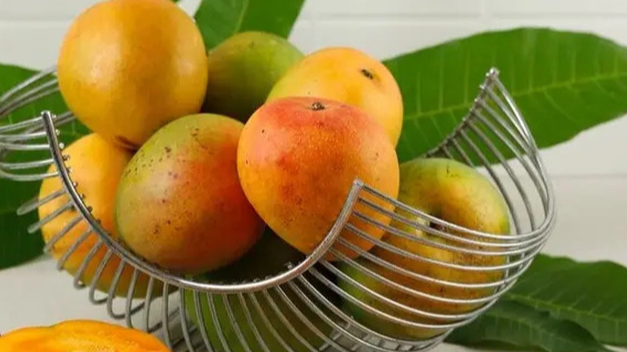 Nikmati beragam manfaat yang baik bagi penderita diabetes dengan mengonsumsi beragam jenis buah-buahan ini yang kaya akan serat, vitamin, dan antioksidan yang dapat menjaga kadar gula darah.