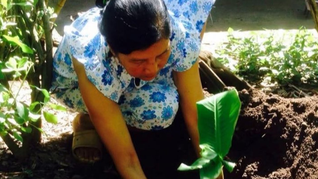 Cacing Tambang dan Cacing Gelang Ternyata Bisa Infeksi Orang Dewasa, Begini Caranya Masuk ke Tubuh