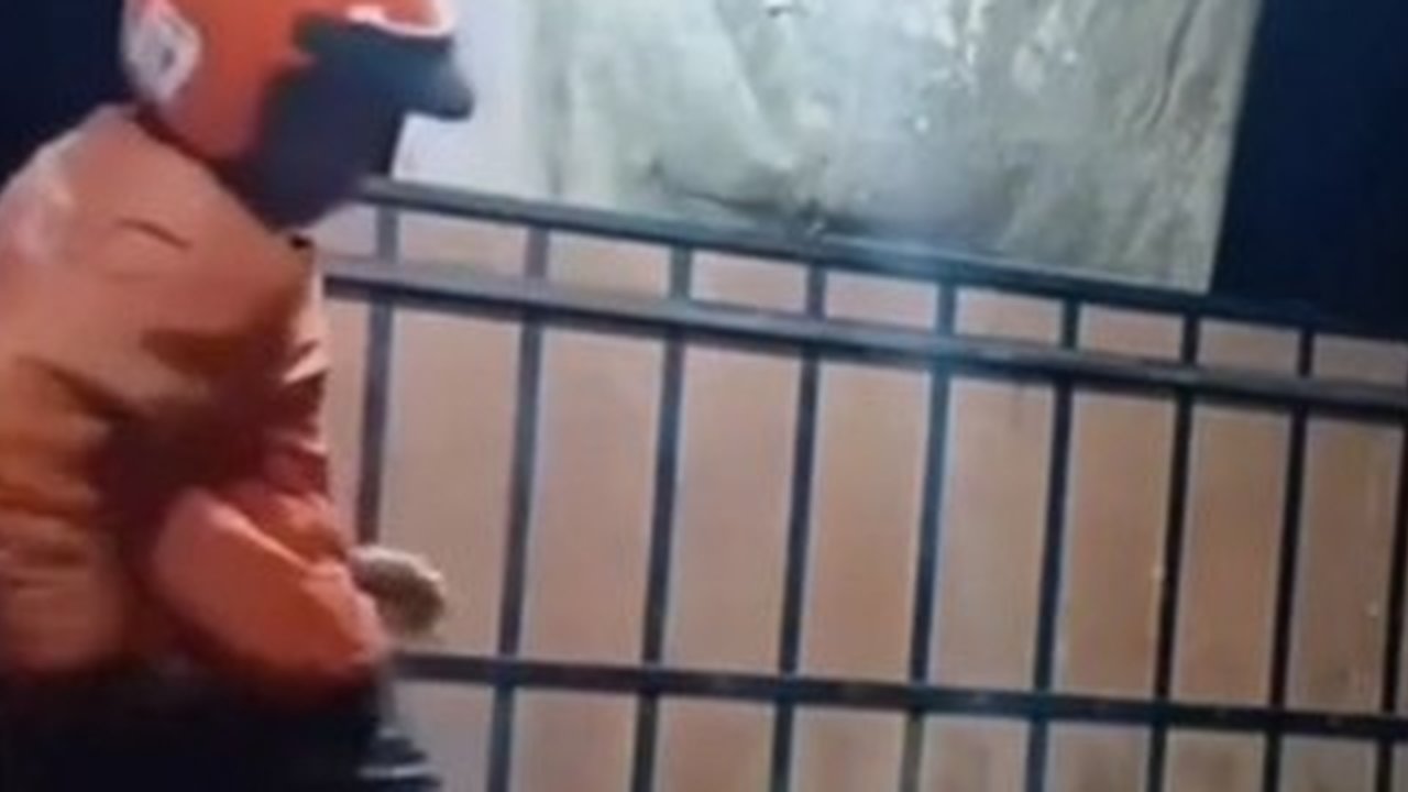Ngakak, Kurir Lompat-lompat Kepanasan Usai Tak Sengaja Duduk di Bodi Motor yang Baru Dilas