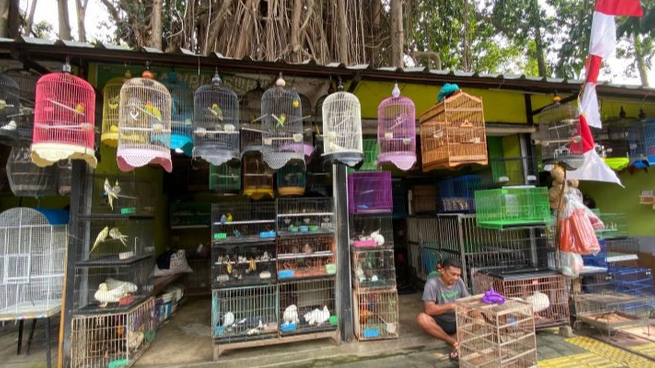 pedagang hewan di pasar barito menolak direlokasi