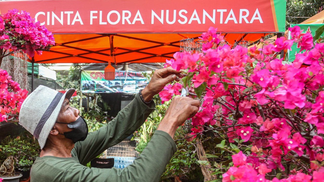 Pedagang merawat  tanaman hias di pameran Flora dan Fauna (Flona) 2025 di Taman Lapangan Banteng, Jakarta, Selasa (05/08/2025).