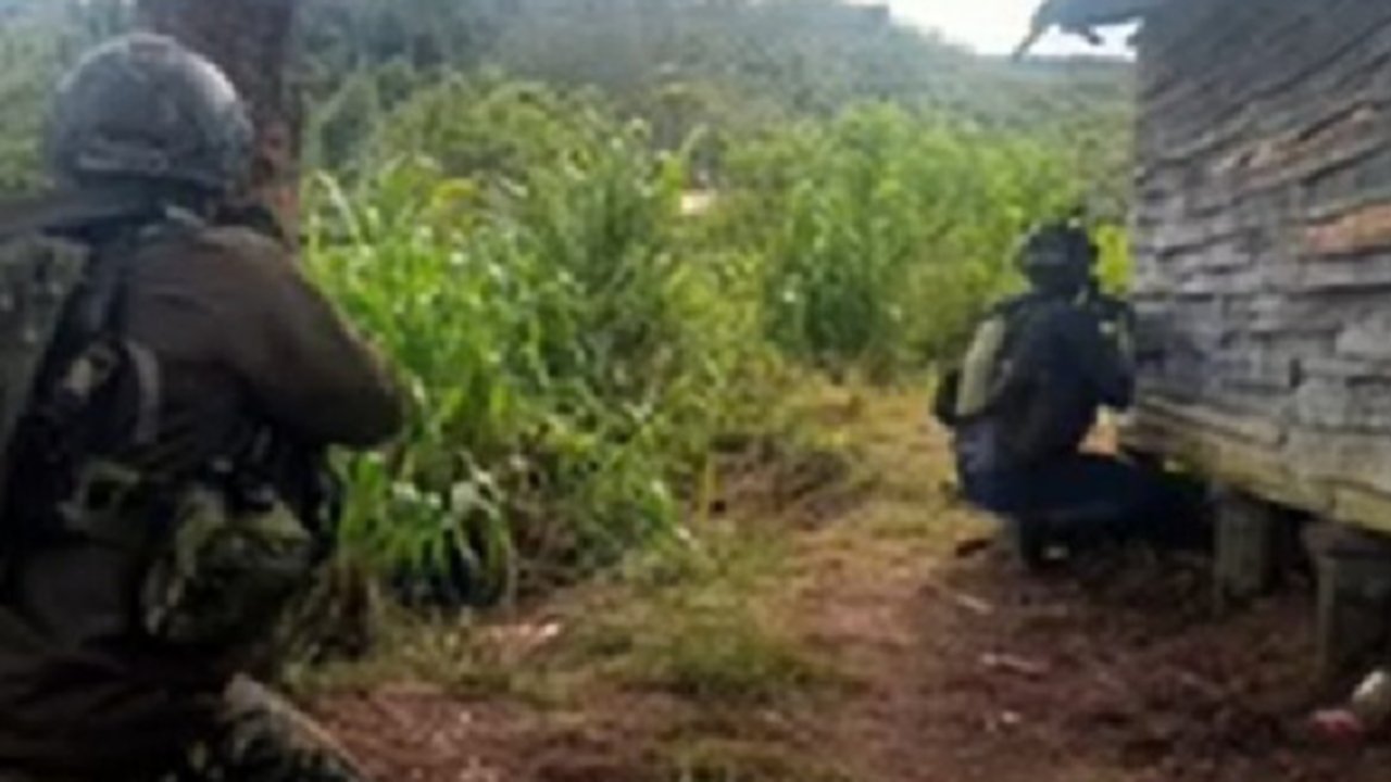 <p>Tentara Nasional Indonesia (TNI) berhasil merebut wilayah Distrik Bibida, Kabupaten Paniai, Papua Tengah, yang sebelumnya dikuasai Organisasi Papua Merdeka (OPM). (TNI)</p>