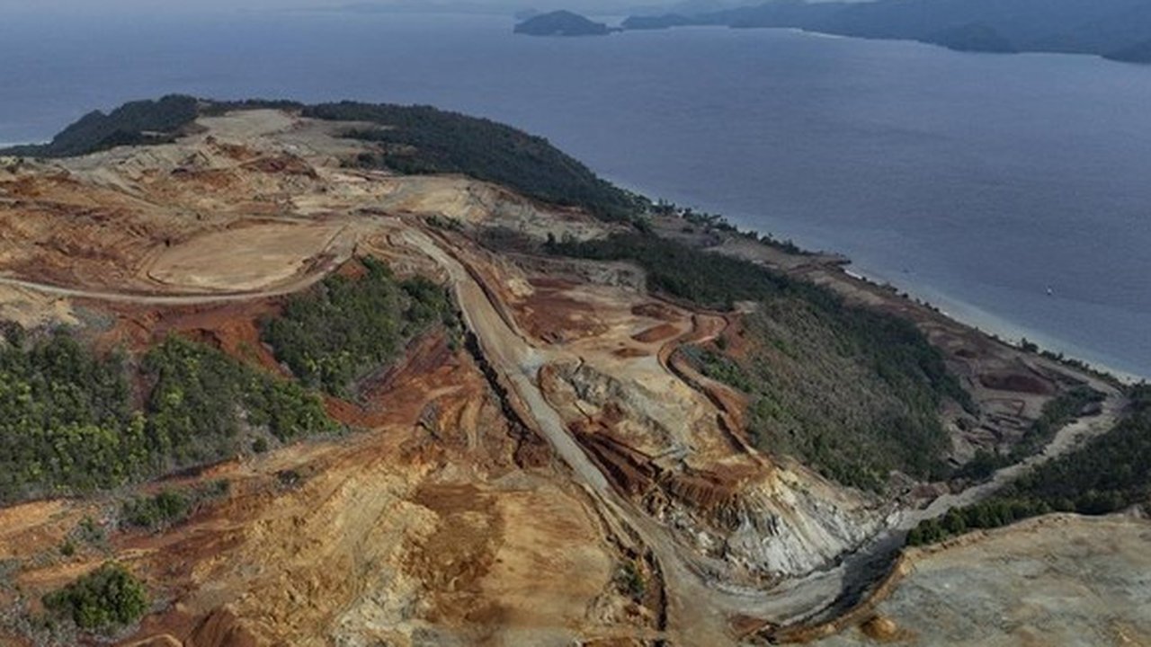 Tak Bergantung APBD, Daerah Kini Makin Kreatif Cari Pendanaan untuk Perlindungan Hutan