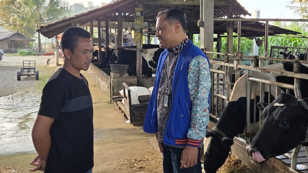 Pengusaha Pakan Ternak dari Ponorogo Ini Buktikan KUR BRI Bisa Bikin Usaha Berkembang