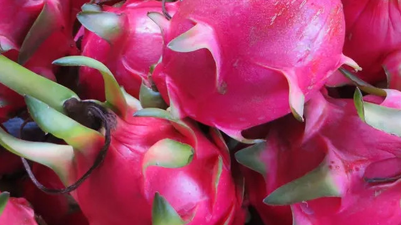 ilustrasi/copyritght pexels.com/Lovefood Art