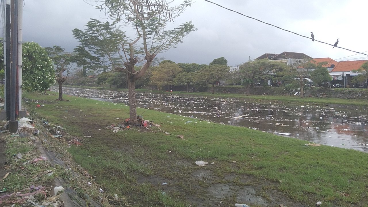 Hujan Lebat Kembali Guyur Bali, Sejumlah Titik di Denpasar dan Badung Banjir