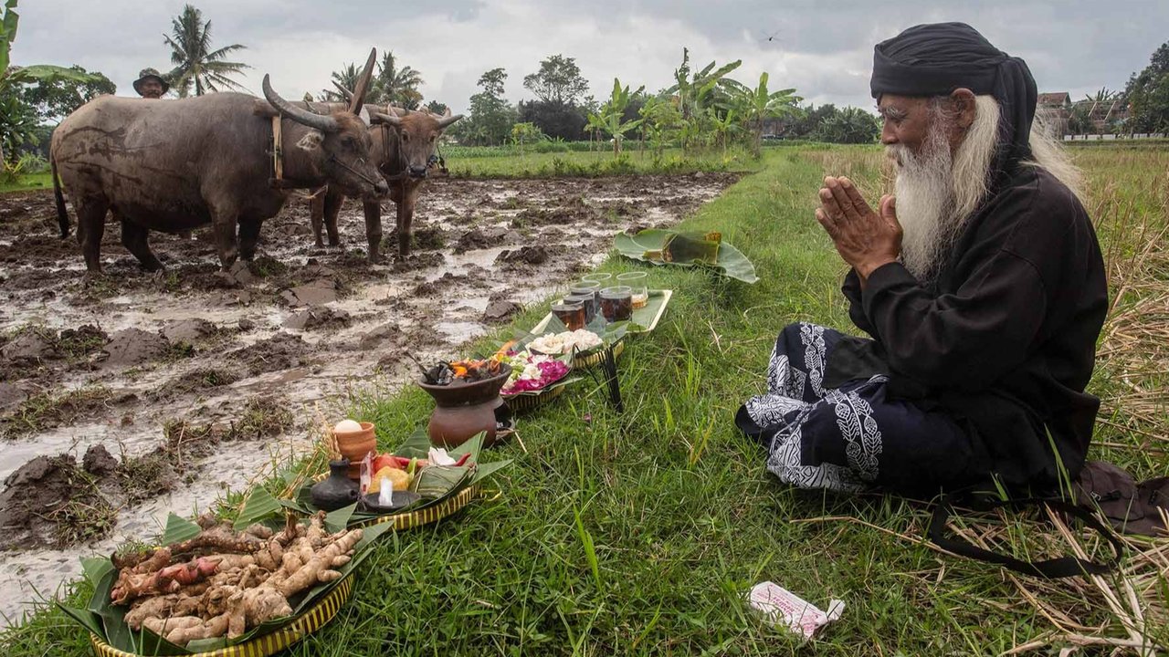 Warga berdoa saat prosesi adat Labuh Sawah (Megawe) di Bulak Kenari, Kregolan, Margomulyo, Seyegan, Sleman, D.I Yogyakarta, Selasa (16/9/2025).