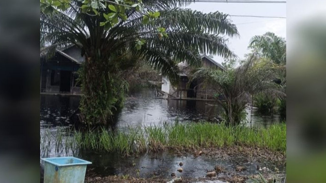 Waspada Teror Buaya saat Banjir di Sampit, Warga Diingatkan Tidak Keluar Malam Hari