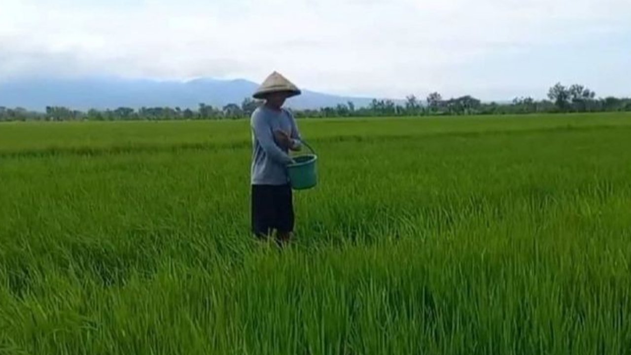 Pemerintah mengalokasikan 1.028 ton pupuk subsidi untuk petani Kota Madiun di tahun 2025, terdiri dari 631 ton urea dan 397 ton NPK, meskipun jumlah ini lebih rendah dari usulan awal.