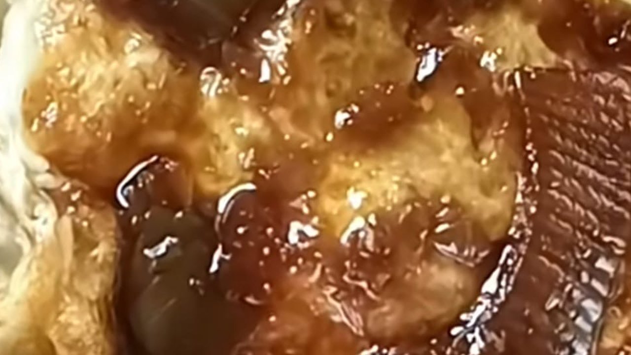 Heboh, Ada Belatung di Menu Telur Ceplok MBG SDN Tanggamus
