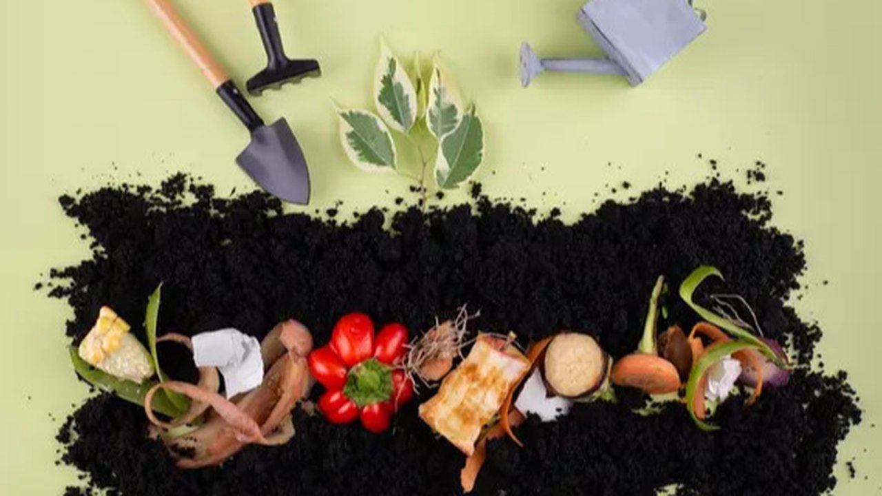 Ilustrasi Mimpi Bertemu Banyak Ular Credit: pexels.com/David