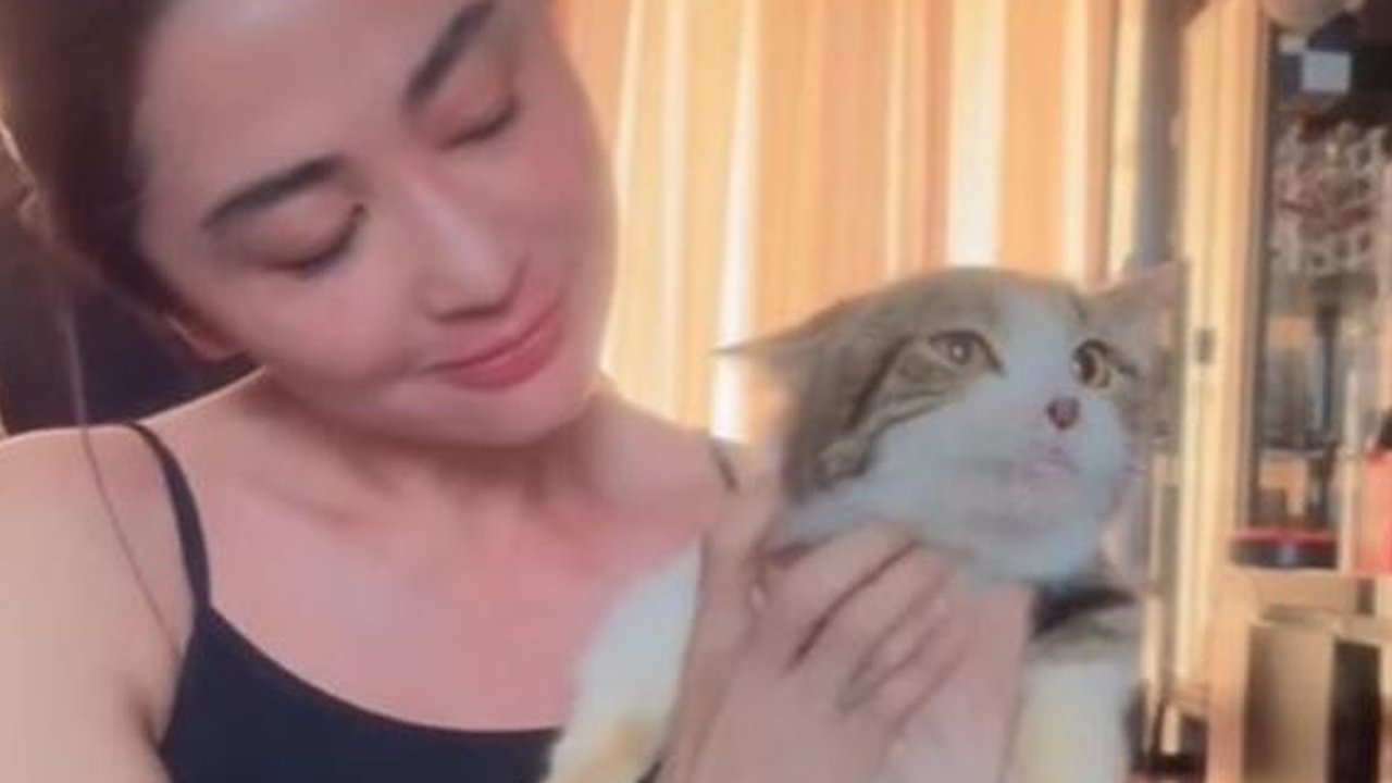 Dewi Perssik jaga kucing Eko Patrio yang selamat pasca penjarahan rumah. [IG: @dewiperssik9]