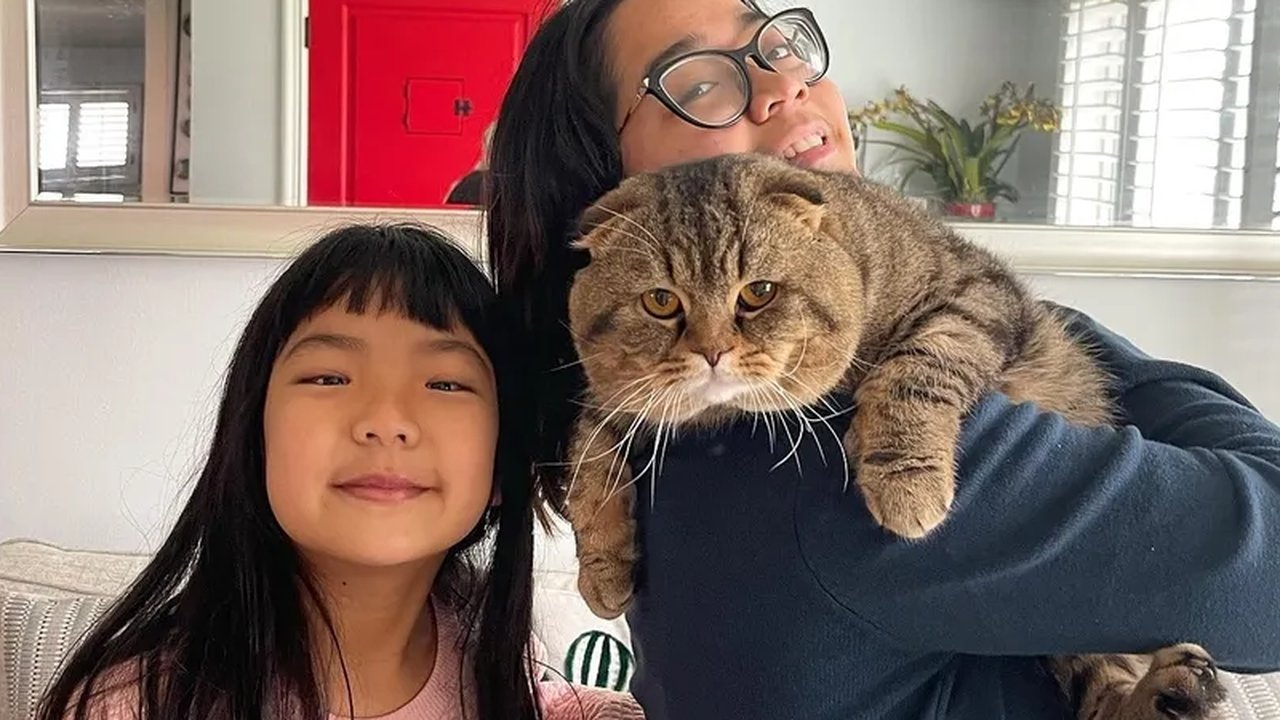 Relakan Semua Barang yang Dijarah, Astrid Kuya Berharap Kucingnya yang Hilang Dikembalikan