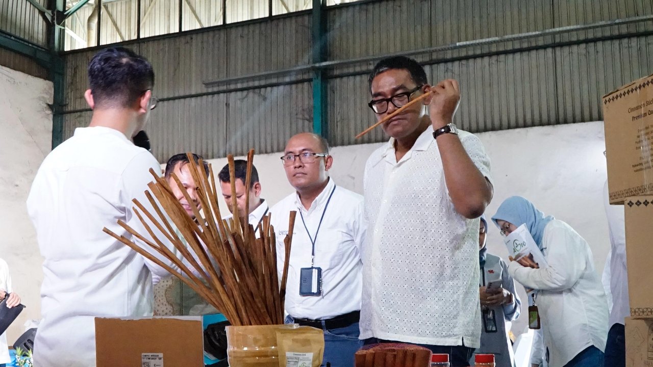 Kayu Manis Premium Khas Kerinci Tembus Pasar Turki, Nilai Transaksi Tahap Awal USD 53.040