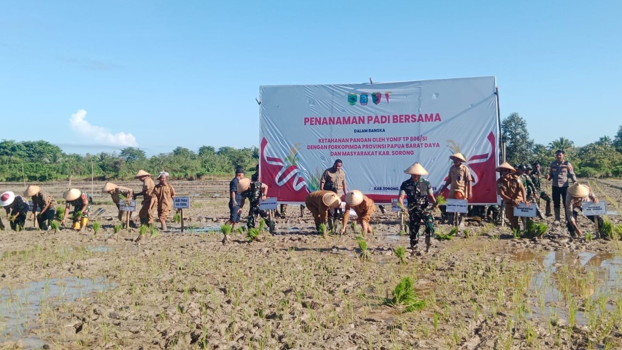 Perkuat Ketahanan Pangan, Yonif TP Bersama Forkompida Papua Barat Daya dan Masyarakat Sorong Tanam Padi