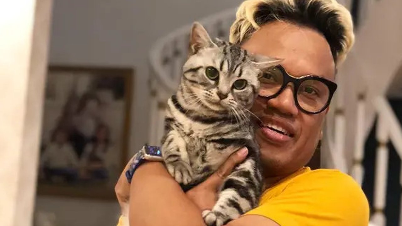 VIDEO: Uya Kuya Kembali Bahagia, Sejumlah Kucing Sudah Pulang Usai Rumahnya Dijarah